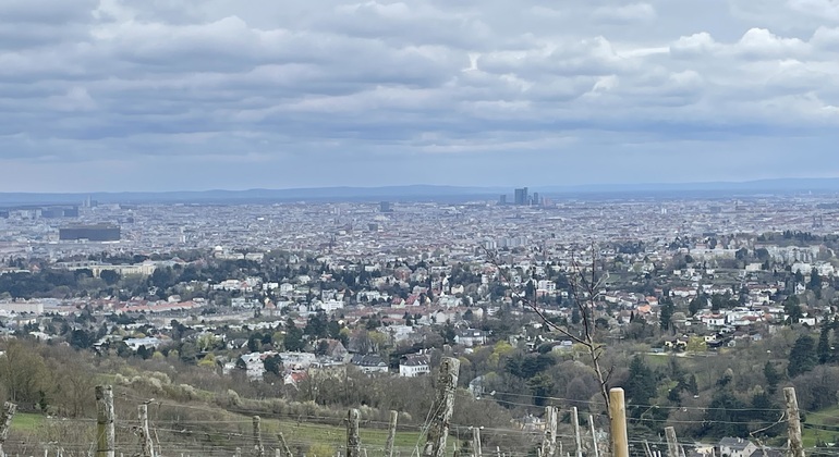 Vignobles & panorama : tour gratuit exclusif de Vienne Mountain Vineyards Autriche &mdash; #4