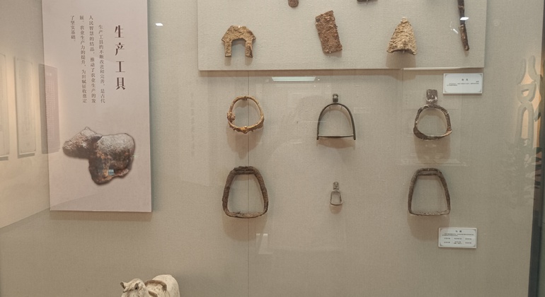 Beijing Taxation Museum Free Tour: Secrets of Ancient China’s Economy China &mdash; #5