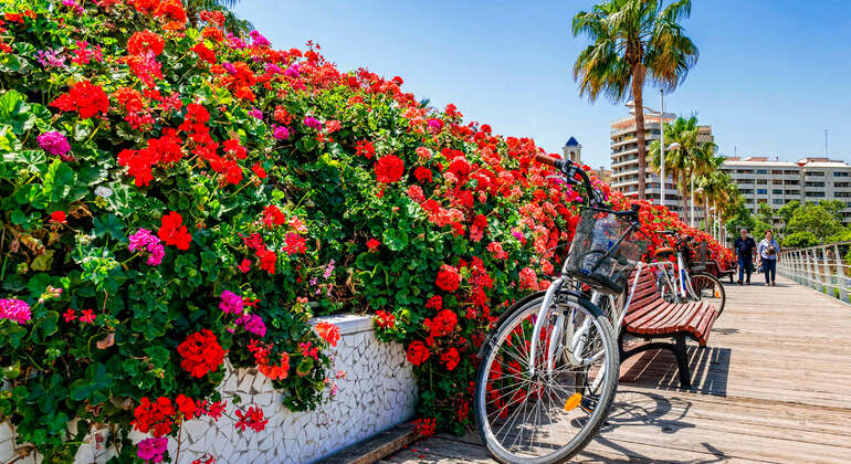 Audio Guide App: Valencia Stadtrundfahrt Spanien &mdash; #12