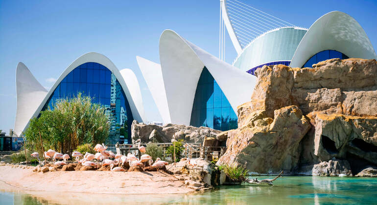 Audio Guide App: Valencia Stadtrundfahrt Spanien &mdash; #14