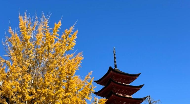 Tour gratuito della storia e della cultura di Miyajima dalla stazione di Hiroshima Giappone &mdash; #2