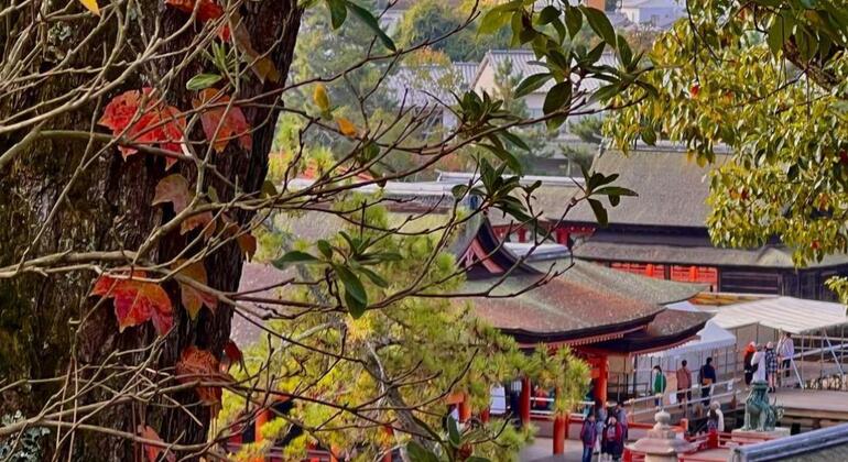 Tour gratuito della storia e della cultura di Miyajima dalla stazione di Hiroshima Giappone &mdash; #8