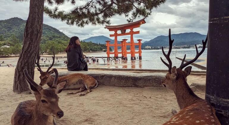Tour gratuito della storia e della cultura di Miyajima dalla stazione di Hiroshima Giappone &mdash; #9