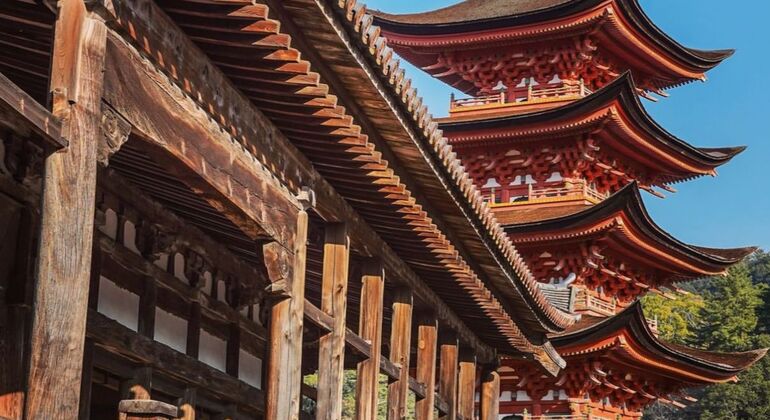Tour gratuito della storia e della cultura di Miyajima dalla stazione di Hiroshima Giappone &mdash; #10
