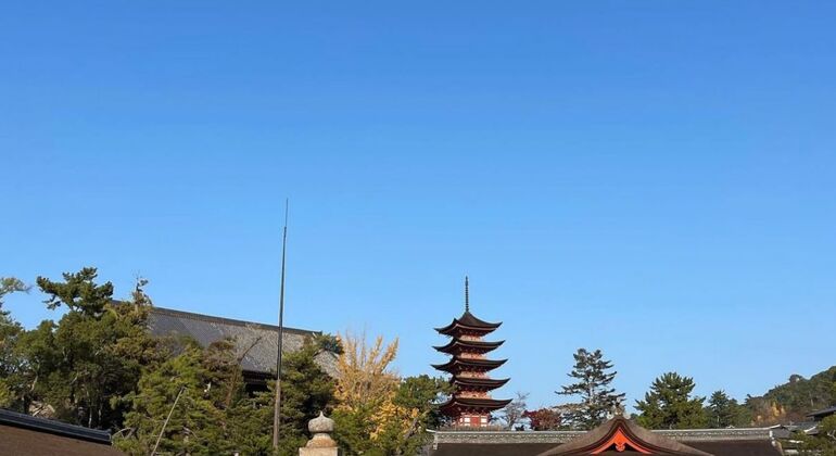 Tour gratuito della storia e della cultura di Miyajima dalla stazione di Hiroshima Giappone &mdash; #12