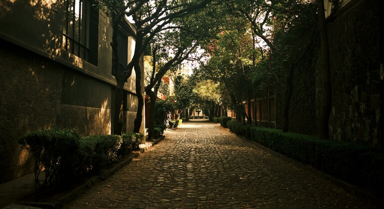 The Nurseries of Coyoacan & A Forest Bath Tour Provided by Alejandro Torres