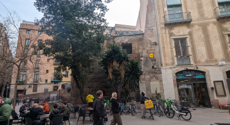 Barcelona: Gothic Quarter Tapas & Taverns Food & Wine Tour Spain &mdash; #5