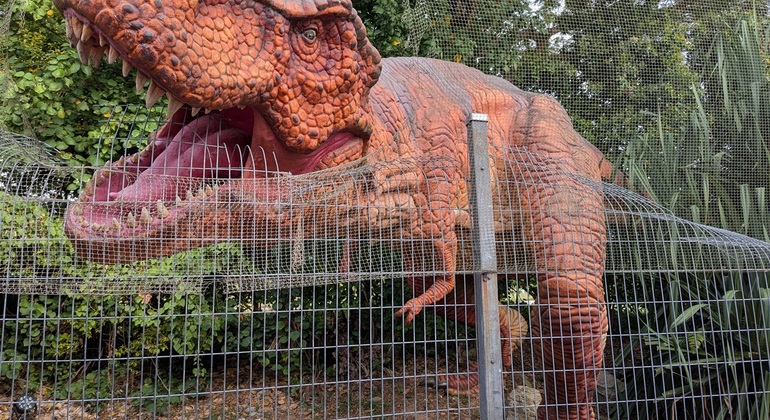 Tour gratuito dei Pokémon: Changi Jurassic Mile, Singapore