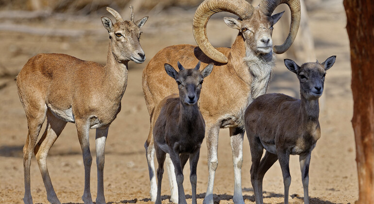 Tour to Ecocenter Jeyran in Bukhara