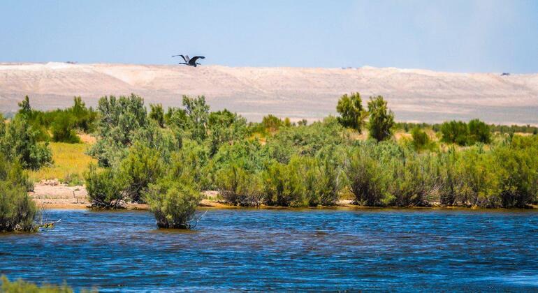 Tour to Ecocenter Jeyran in Bukhara Uzbekistan &mdash; #2