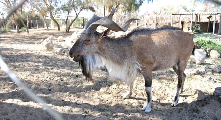 Tour to Ecocenter Jeyran in Bukhara Uzbekistan &mdash; #4
