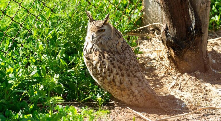 Tour to Ecocenter Jeyran in Bukhara Uzbekistan &mdash; #5
