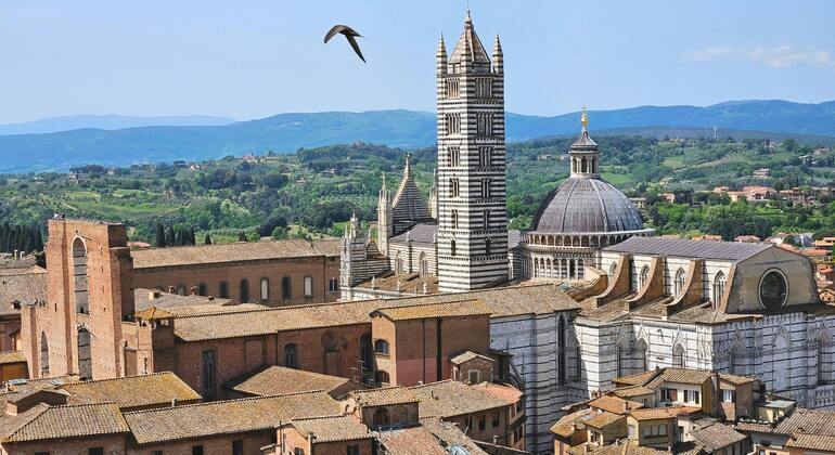 The Seven Secrets of Siena Free Tour