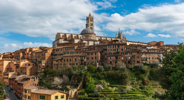 los-siete-secretos-de-siena-free-tour-en-1