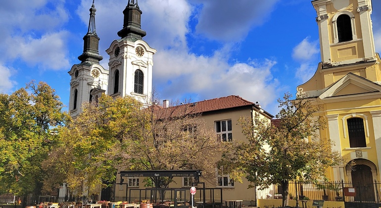 Day Trip from Belgrade to Novi Sad & Fruska Gora with Wine Tasting Serbia &mdash; #8