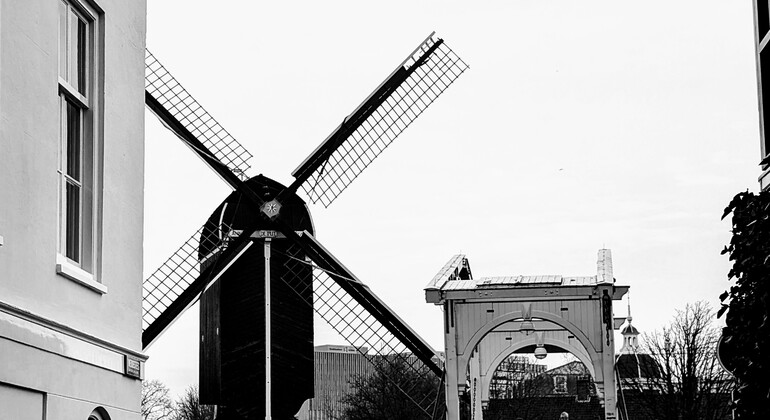 welcome-to-key-city-leiden-from-pilgrims-to-painters-en-10