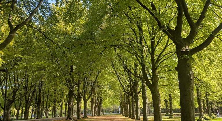 welcome-to-key-city-leiden-from-pilgrims-to-painters-en-12