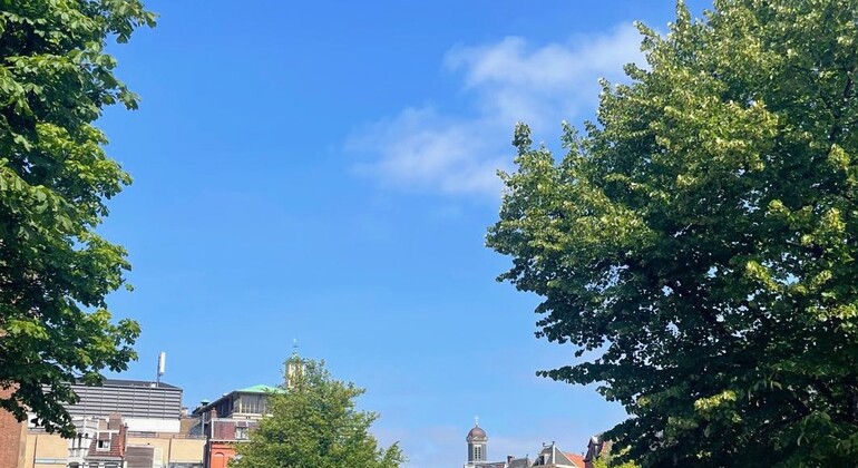 Discover Leiden: From Pilgrims to Painters, Leiden's Golden Age Netherlands &mdash; #28