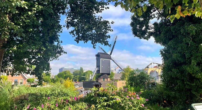 Discover Leiden: From Pilgrims to Painters, Leiden's Golden Age Netherlands &mdash; #29