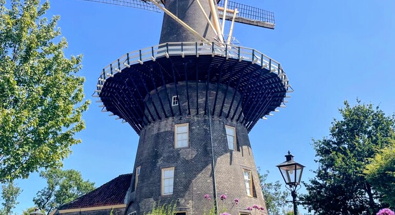Discover Leiden: From Pilgrims to Painters, Leiden's Golden Age Netherlands &mdash; #30