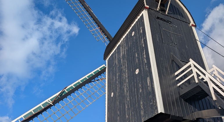 welcome-to-key-city-leiden-from-pilgrims-to-painters-en-43