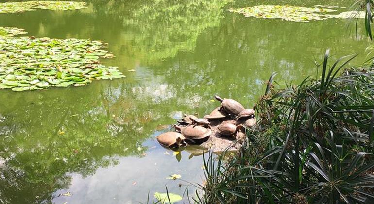 Visita al Jardín Botánico y al Parque de los Deseos Colombia &mdash; #2