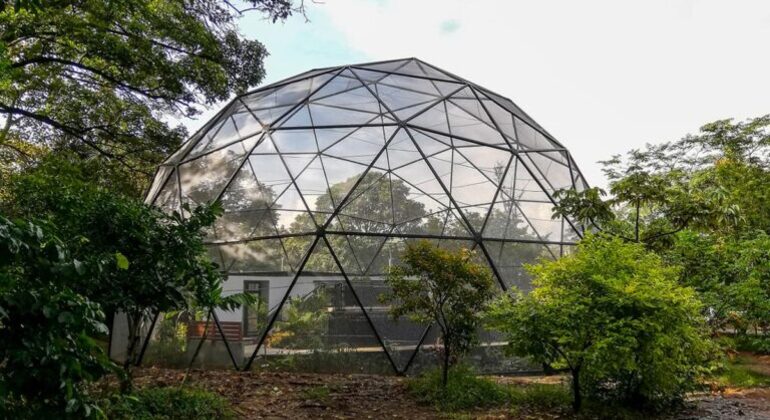 Visita al Jardín Botánico y al Parque de los Deseos Colombia &mdash; #5
