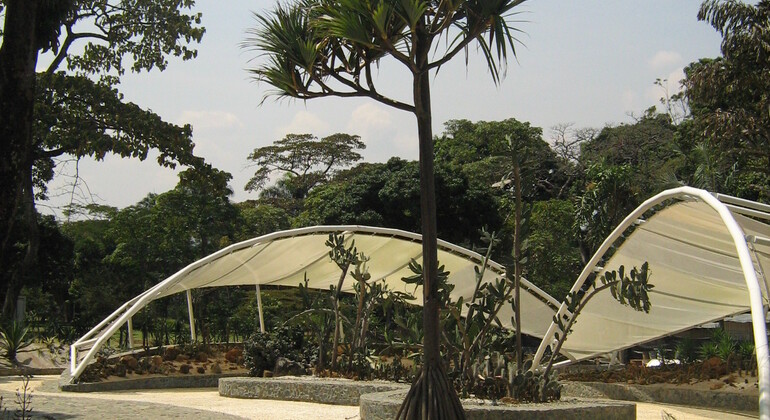 Visita al Jardín Botánico y al Parque de los Deseos Colombia &mdash; #6