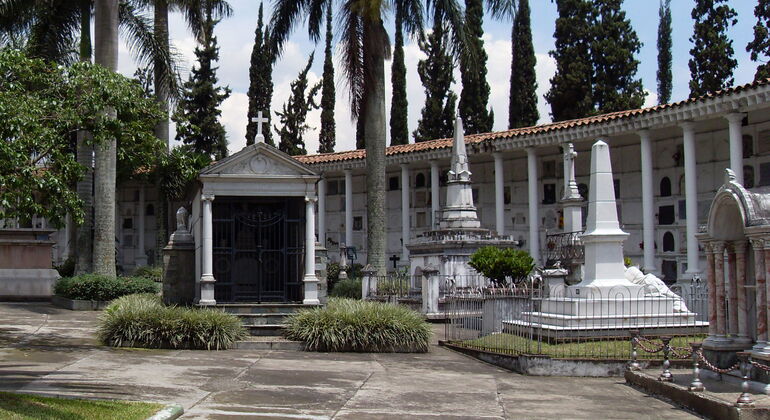 San Pedro Cemetery Museum & Prado Park Tour Colombia &mdash; #6