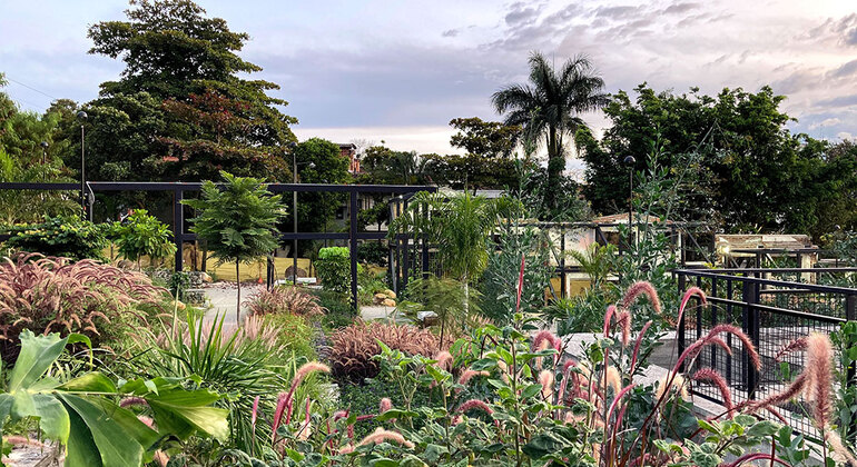San Pedro Cemetery Museum & Prado Park Tour Colombia &mdash; #8
