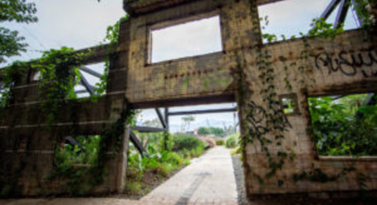 San Pedro Cemetery Museum & Prado Park Tour Colombia &mdash; #10