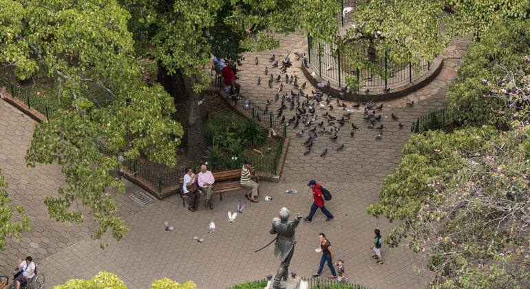 Medellin Tour: Stadtzentrum Parks & Aussichtspunkt