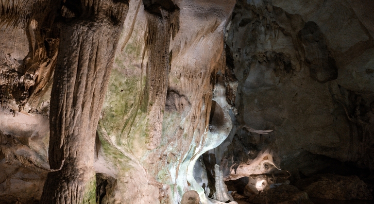 from-veliko-tarnovo-spiritual-natural-highlights-tour-en-4