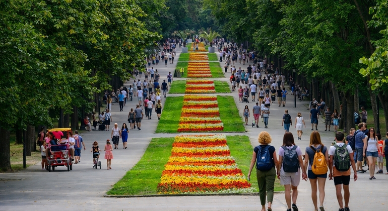 from-veliko-tarnovo-varna-and-the-oldest-gold-in-the-world-es-2