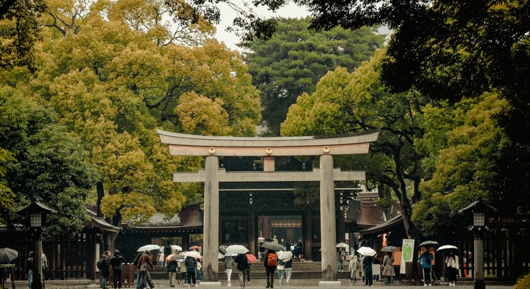 Tokyo Shrine Free Tour: History, Culture & The Best Shrines In Tokyo Japan &mdash; #2