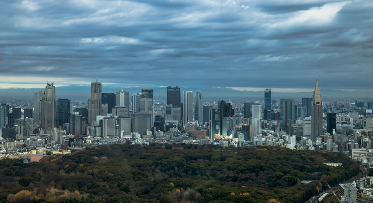 Tokyo Shrine Free Tour: History, Culture & The Best Shrines In Tokyo Provided by Alec G