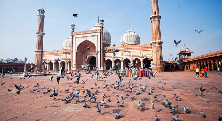 Full Day Old & New Delhi City Tour with Local Guide Provided by Namaste India Tours