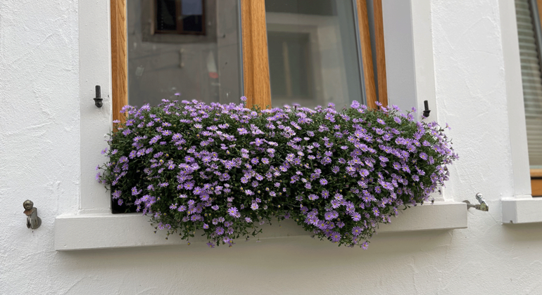 Tour de Volkach : vin, culture & boucle du Main global.countries. &mdash; #5