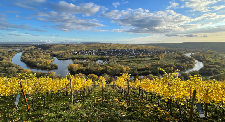 franken-tour-wandern-magie-des-frankenweins-en-1