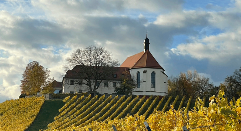Franconia Tour: Senderismo, saborear y la magia del vino de Franconia, Germany