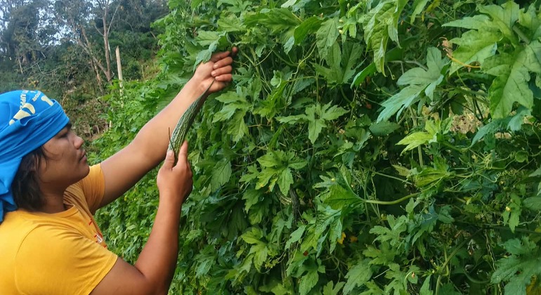 Excursão gratuita às Terras Altas: As melhores emoções e cultura de Cebu Filipinas &mdash; #4