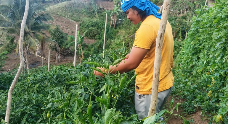 Excursão gratuita às Terras Altas: As melhores emoções e cultura de Cebu Filipinas &mdash; #5