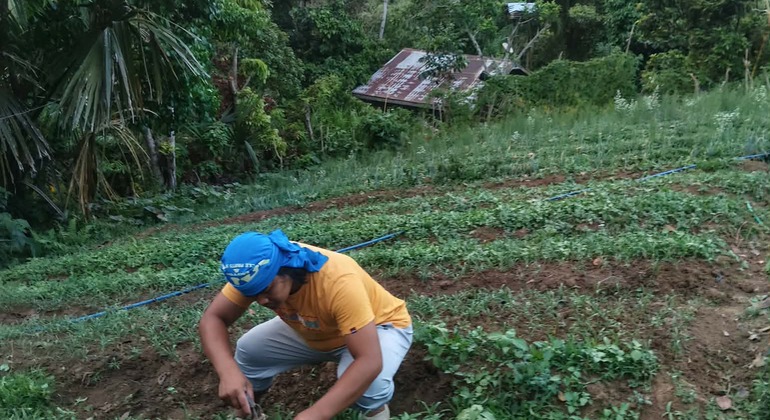 Excursão gratuita às Terras Altas: As melhores emoções e cultura de Cebu Filipinas &mdash; #11