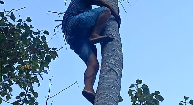 Excursão gratuita às Terras Altas: As melhores emoções e cultura de Cebu Filipinas &mdash; #12