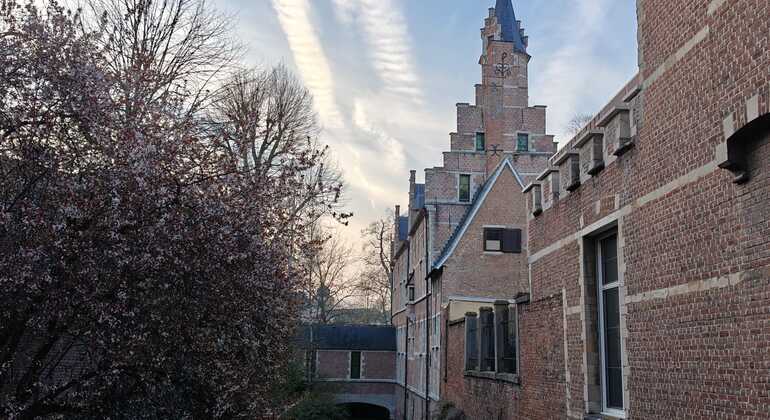 Mechelen: Visita guiada histórica a pé com guia local Bélgica &mdash; #2