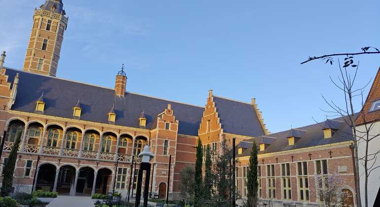 Mechelen: Visita guiada histórica a pé com guia local Bélgica &mdash; #7