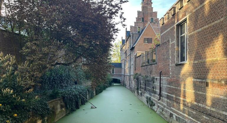 mechelen-historic-walking-tour-with-local-guide-en-5
