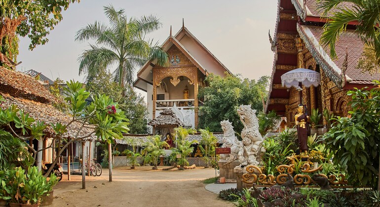 Chiang Mai Free Tour : Culture des temples et marché de la nourriture de rue, Thailand