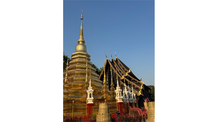 Chiang Mai Kostenlose Tour: Tempel Kultur & Street Food Markt Thailand &mdash; #2