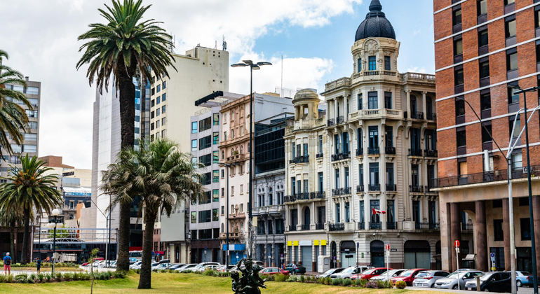 The Silver Arm and the Goose Feather: History of the Foundation Tour Provided by Ricardo Petrissans